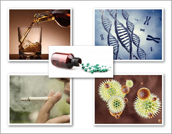 Überreaktion des Immunsystems bewirkt Parodontitis